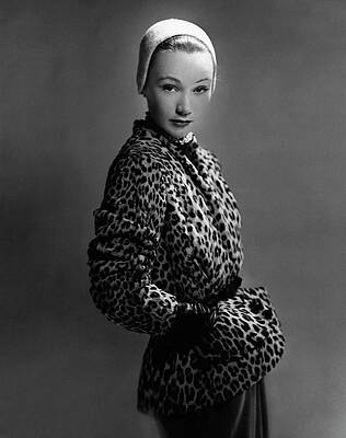Wall Art - Photograph - A Model Wearing A Leopard Skin Jacket by Erwin Blumenfeld