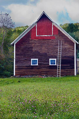 Wall Art - Photograph - A New Coat by Steven David Roberts