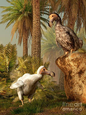 Wall Art - Digital Art - A Pair Of Dodo Birds Play A Game by Daniel Eskridge