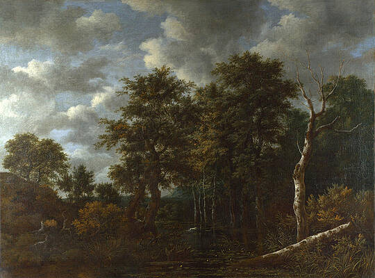 A Pool surrounded by Trees Print by Jacob Isaacksz van Ruisdael