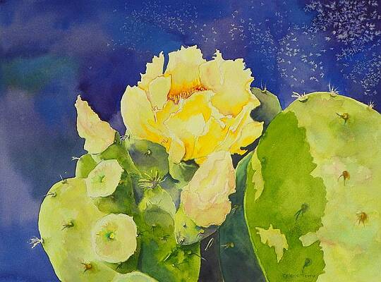 A Prickly Bloom by Celene Terry A Prickly Bloom by Celene Terry