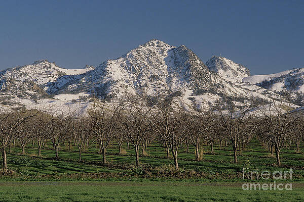 Wall Art - Photograph - A Rare Snow On The Sutter Buttes by Ron Sanford
