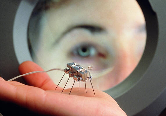 Wall Art - Photograph - A Robot 'gnat' At The Mit Robotics Lab. by Science Photo Library