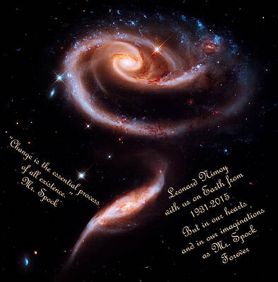 A Rose Made of Galaxies for Spock by Vicki Maheu A Rose Made of Galaxies for Spock by Vicki Maheu