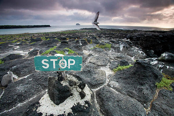 Wall Art - Photograph - A Sign Marks The End Of The Line by Eric Rorer