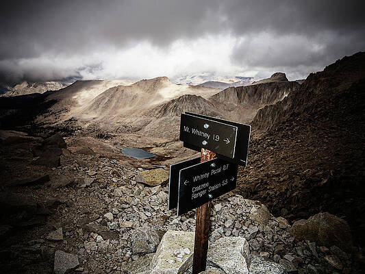 Wall Art - Photograph - A Signed Trail Junction On The Way by Ron Koeberer
