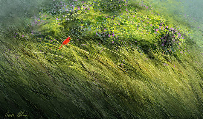 Wall Art - Digital Art - A Spot of Red by Aaron Blaise
