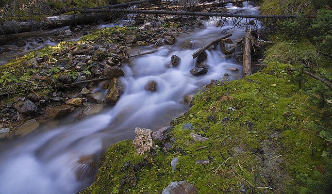Wall Art - Photograph - A Stream in Motion by Bill Cubitt
