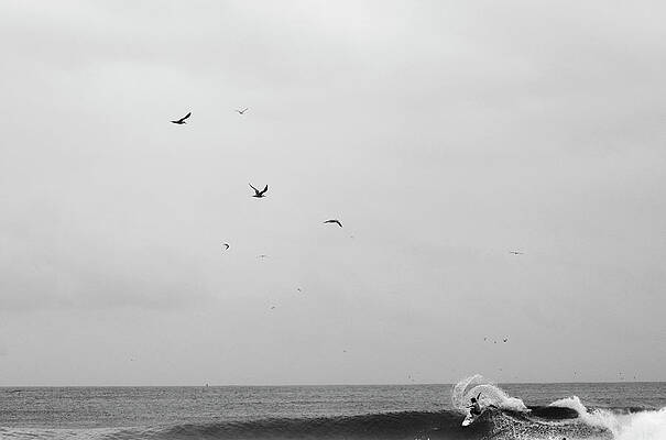 Wall Art - Photograph - A Surfer Performs A Turn On A Wave by Krystle Wright