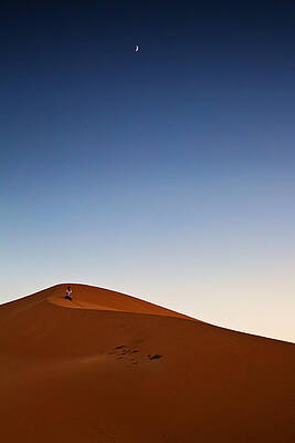 A Time for Contemplation by Phil Dyer A Time for Contemplation by Phil Dyer
