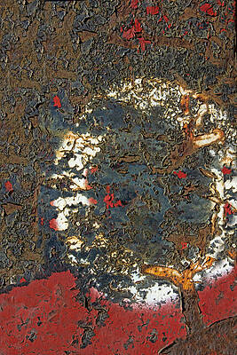 Wall Art - Photograph - A Tree Stood There by Marilyn Cornwell