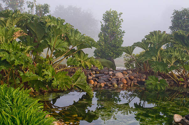  Photograph - On Golden Ponds by Dave Byrne