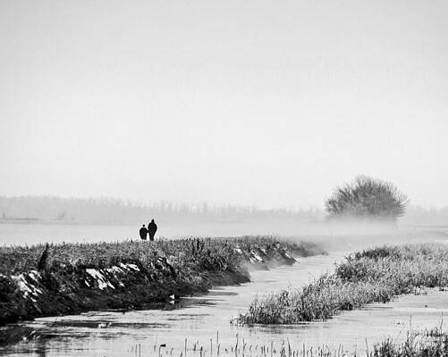 Wall Art - Photograph - A Walk Into The Fog by Kevin Anderson