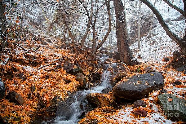 A Winter Scene in Jerome Arizona by Ron Chilston A Winter Scene in Jerome Arizona by Ron Chilston