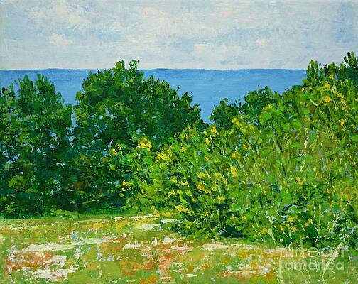 A Winter's Day at the Beach by Gail Kent A Winter's Day at the Beach by Gail Kent