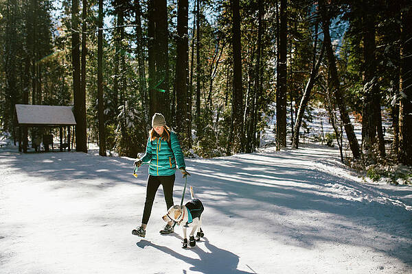 Wall Art - Photograph - A Woman Walking Her Dog In Yosemite by Ryan Tuttle