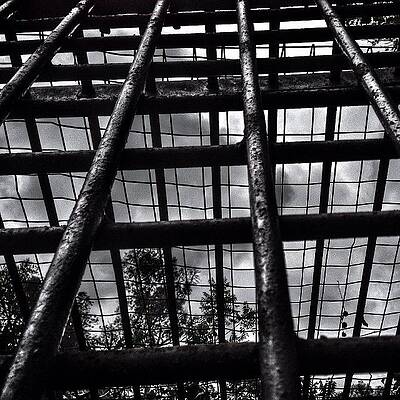 Wall Art - Photograph - Abandoned (griffith Park Zoo by Mark David Gerson
