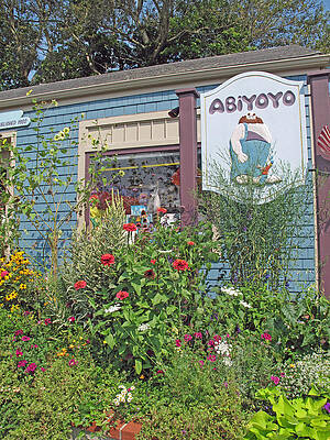 ABiYOYO by Barbara McDevitt ABiYOYO by Barbara McDevitt