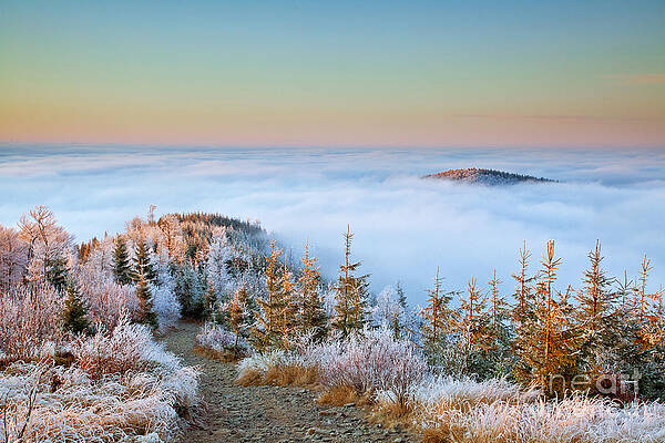 Above the Clouds by Katka Pruskova Above the Clouds by Katka Pruskova