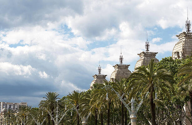 Wall Art - Photograph - Above the Trees of Parc de la Ciutadella by Lorraine Devon Wilke