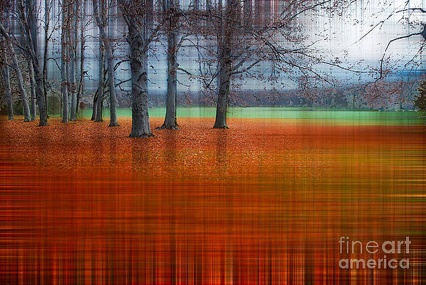 Wall Art - Photograph - abstract atumn II by Hannes Cmarits