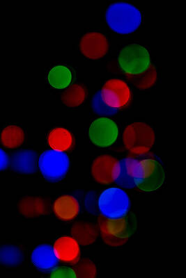 Wall Art - Photograph - Lights in the Dark by E Faithe Lester