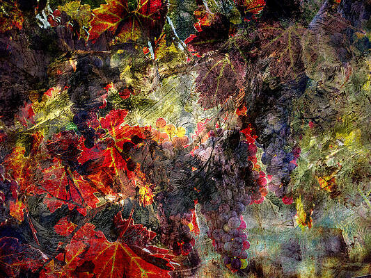Abstract Grapes on Vine Number Two by Bob Coates Abstract Grapes on Vine Number Two by Bob Coates