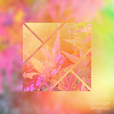 Wall Art - Digital Art - Abstract Maple Leaf Magic 2 by Beverly Claire Kaiya