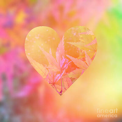 Wall Art - Digital Art - Abstract Maple Leaf Magic 4 by Beverly Claire Kaiya