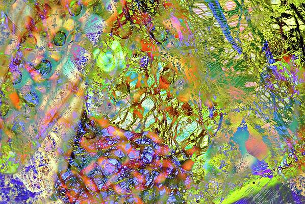 Wall Art - Photograph - Abstract Polarised Light Micrographs by Science Photo Library