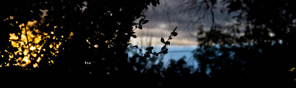 Abstract window view by Atom Crawford Abstract window view by Atom Crawford