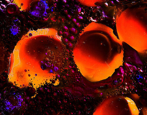 Wall Art - Photograph - Abstract With Egg Yolk by Jim Painter