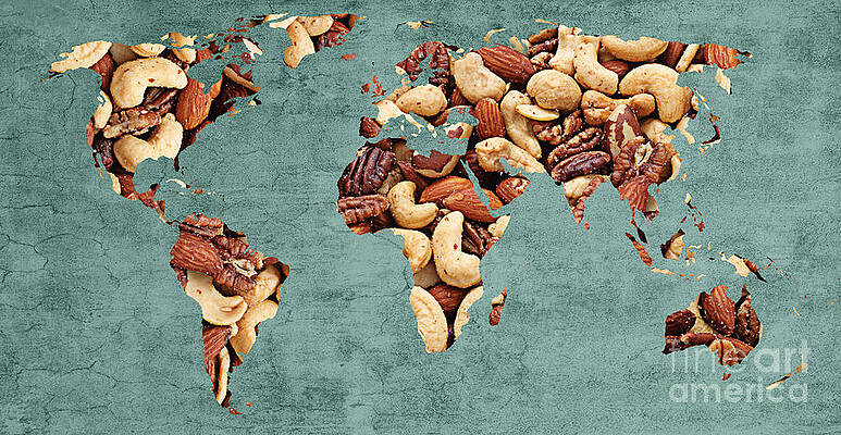 Wall Art - Digital Art - Abstract World Map - Mixed Nuts - Snack - Nut Hut by Andee Design