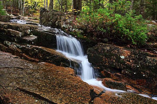 Acadian Stream by Mike Farslow Acadian Stream by Mike Farslow