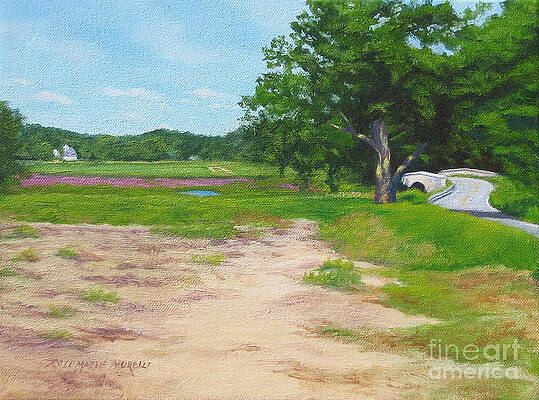 Across The Sudbury River Concord Massachusetts by Rosemarie Morelli Across The Sudbury River Concord Massachusetts by Rosemarie Morelli