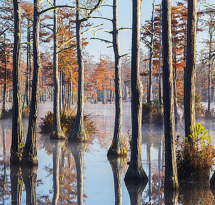 Adams Mill Pond 54 by Jim Dollar Adams Mill Pond 54 by Jim Dollar