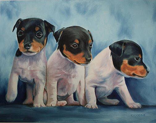 Adorable in Triplicate by Jill Ciccone Pike Adorable in Triplicate by Jill Ciccone Pike