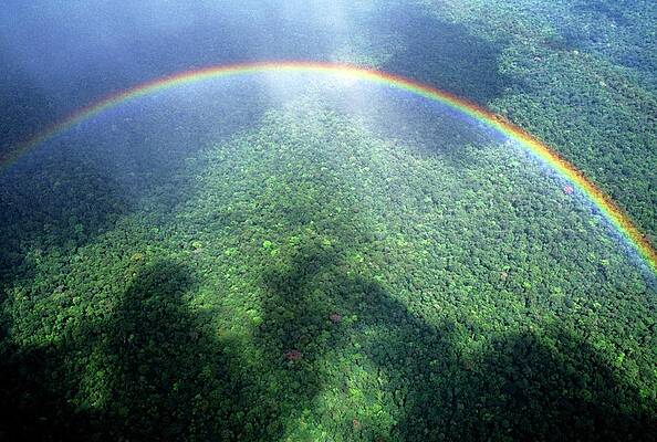 Wall Art - Photograph - Aerial View Of A Rainbow Over A Forest by Science Photo Library