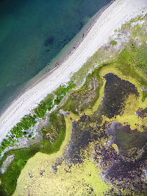Wall Art - Photograph - Aerial View Of Beach In Rhode Island by Cate Brown