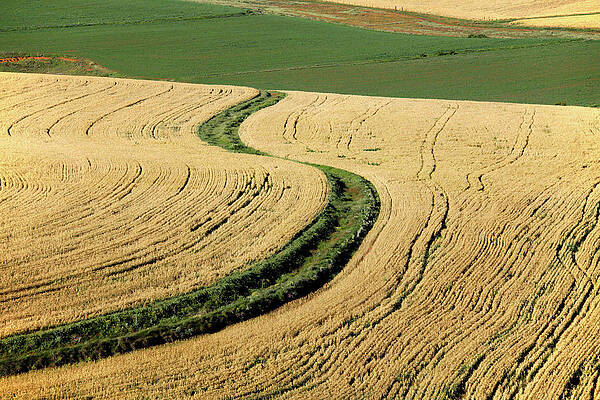 Wall Art - Photograph - Aerial View Of The Farmed Fields by Joel Santos