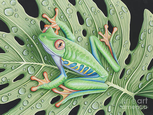 After the rain by Tish Wynne After the rain by Tish Wynne