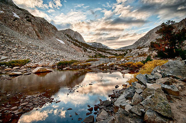 Wall Art - Photograph - Afternoon Reflections by Cat Connor