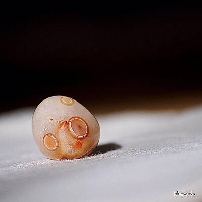 Wall Art - Photograph - Agate by Matthew Blum