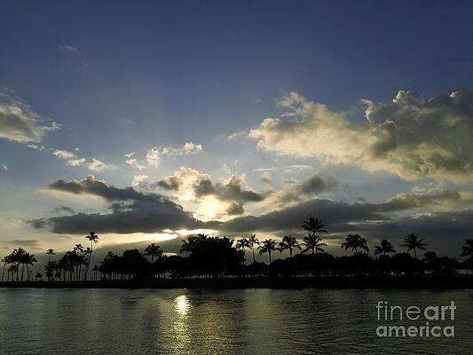 Wall Art - Photograph - Ala Wai Skies by Laura  Wong-Rose