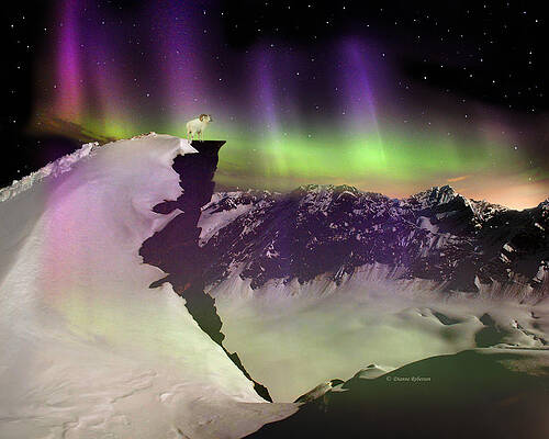 Alaska Aurora Dall Sheep on the Cliff  # DA 134  by Dianne Roberson