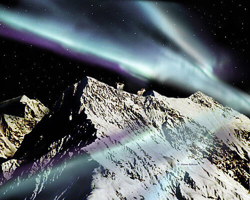 Alaska Aurora Knik Glacier Mountains   # DA 132 by Dianne Roberson