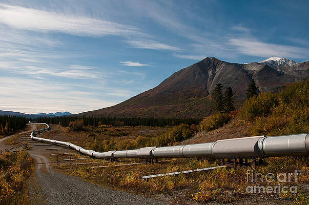 Wall Art - Photograph - Alaska Oil Pipeline by Mark Newman