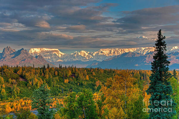 Wall Art - Photograph - Alaska Range by Mark Newman
