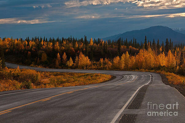 Wall Art - Photograph - Alaskan Highway In Autumn by Mark Newman