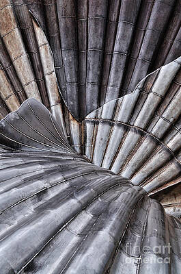 Aldeburgh Shell Abstract by Bel Menpes Aldeburgh Shell Abstract by Bel Menpes